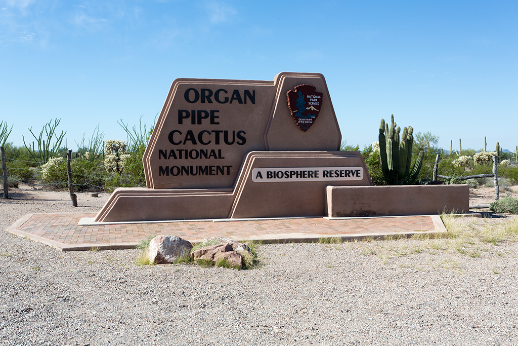 10-19 - 01.jpg - Organ Pipe Cactus National Monument